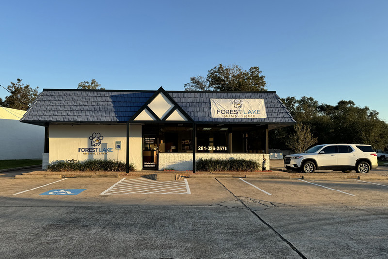 Forest Lake Animal Clinic in Seabrook, TX